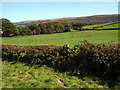 Llwybr Bryn Rhyd / Bryn Rhyd Path