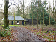 NT7328 : Buildings near cottage, Bowmont Forest by Robin Webster