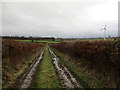 Muddy track near Bogside