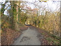 The Medway Valley Walk near East Farleigh