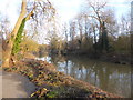 The Medway Valley Walk near East Farleigh