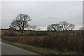 Fields near Thornborough