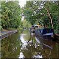 Trent and Mersey Canal near Trentham in Stoke-on-Trent