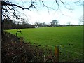 Grassy field beside Mearns Road