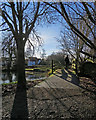 TL5338 : Saffron Walden: the footbridge at Swan Meadow Pond by John Sutton