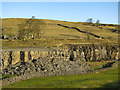 Harrowbank Quarry (disused) below High Farm and Laverock Seat