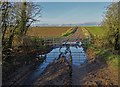 Track to Carlton Forest Farm