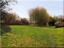 SD7807 : Landscaped former Railway Land behind Gorsefield School by David Dixon