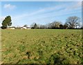 Field, near Nettleford