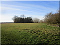 TF0409 : Grassland near Cobbs Nook Farm by Jonathan Thacker