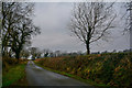 Clayhidon : Country Lane