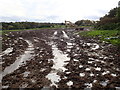 Particularly muddy field at Cae-Dyah Farm