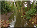 Feeder for the lake, Tredegar House Country Park, Newport