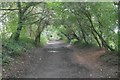 Trans Pennine Trail, Grappenhall