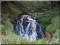 NT9113 : Upper waterfall at Lindhope Linn by Andrew Curtis