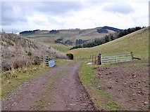 NT7824 : Cattle grid on track down to Grubbit and the B6401 by Robin Webster