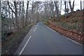 Boleside Road towards Netherbarns