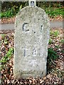 Old Milestone by the A390 in Callington