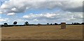 Hay Bales near Shipton Grange