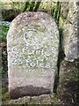 Old Milestone by Bearland Bridge, Callington