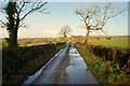 Water lying along Corlagh Road