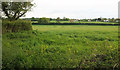 ST4331 : Farmland near Henley by Derek Harper