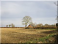 Corner of a stubble field near Hart