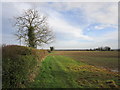 Footpath towards Swarby