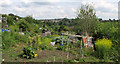 Ashley Vale Allotments