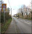 Warning sign in Pantyffordd - horse riders for 2 miles