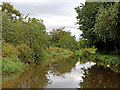 Caldon Canal south of Birches Head, Stoke-on-Trent