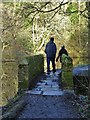 SK3087 : Walking by a mill dam in The Rivelin Valley by Neil Theasby
