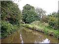 Caldon Canal south-east of Birches Head, Stoke-on-Trent