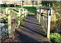 TG2209 : Footbridge in Wensum Park by Evelyn Simak