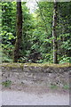 Hesley Beck viewed over western parapet of Great Close Lane bridge