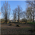 Fulbourn Horse Pond in January