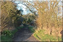 SP4518 : Sansoms Lane near Wootton by David Howard