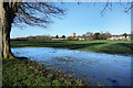 A Bit Wet in the Park