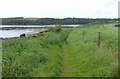 SM8607 : Pembrokeshire Coast Path at Sandy Haven by Mat Fascione