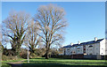 Path behind the Houses