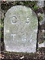 Old Milestone by the A390 in Gunnislake