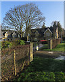 Houses on Cambridge Road