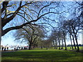 TQ2475 : Avenue of trees in Wandsworth Park by Marathon