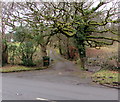 Abernant Farm access road, Crynant