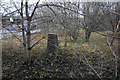 Trig point in Bredbury Park Industrial Estate