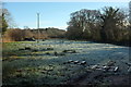 SX7580 : Frosty meadow by Hayne Brook by Derek Harper