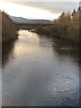 Upstream on the River Spey