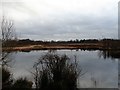 NZ1651 : Heathland pond at Greencroft by Robert Graham