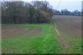 Path across fields to Miles Lane