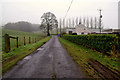 Misty along Drumhirk Road, Tattymoyle Middle